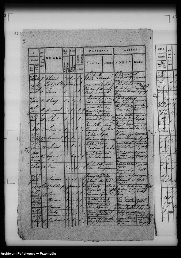 Obraz 13 z jednostki "[Kopie ksiąg metrykalnych parafii Siebieczów z filiami Leszczaków, Piwowszczyzna, Rusin, Wierzbiąż (dekanat Bełz)]"