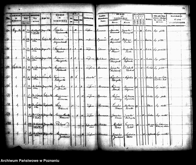 Obraz 17 z jednostki "Księga zgonów"