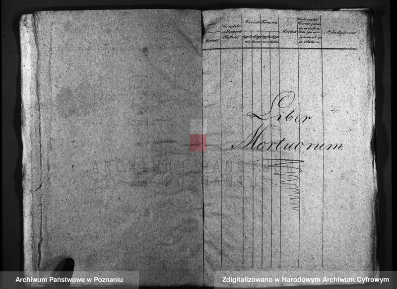 Obraz 9 z jednostki "Duplicatus baptisatorum, copulatorum, mortuorum"