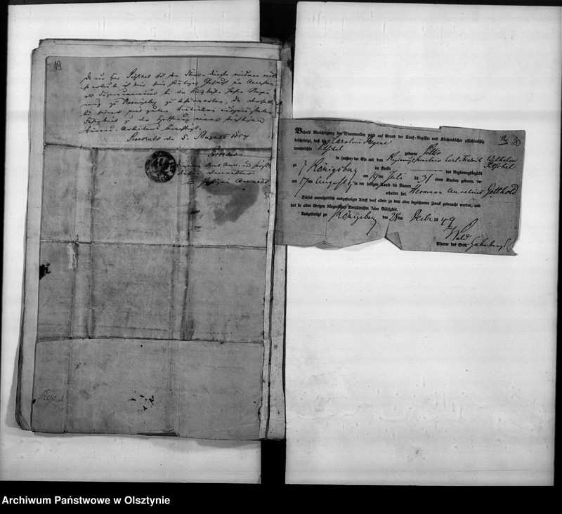 image.from.unit.number "Rentmeister Aurel Pitschel in Pr.[eussich] Holland"