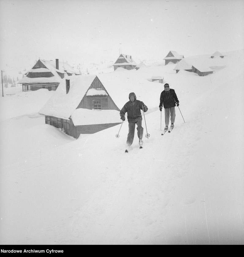 Narciarze na tle zabudowań.
