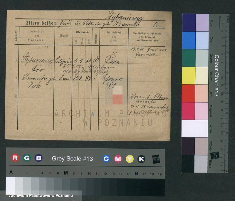 Obraz 4 z jednostki "Stybaniewicz - Suchopartka"