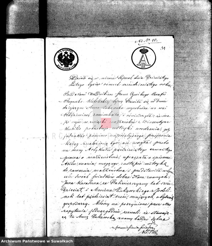 Obraz 15 z jednostki "Anneksa do Akt Zaślubionych z roku 1860."