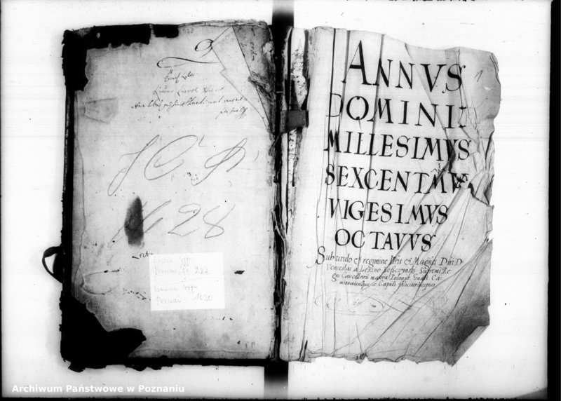 Obraz 3 z jednostki "Inscriptiones [inducta]"