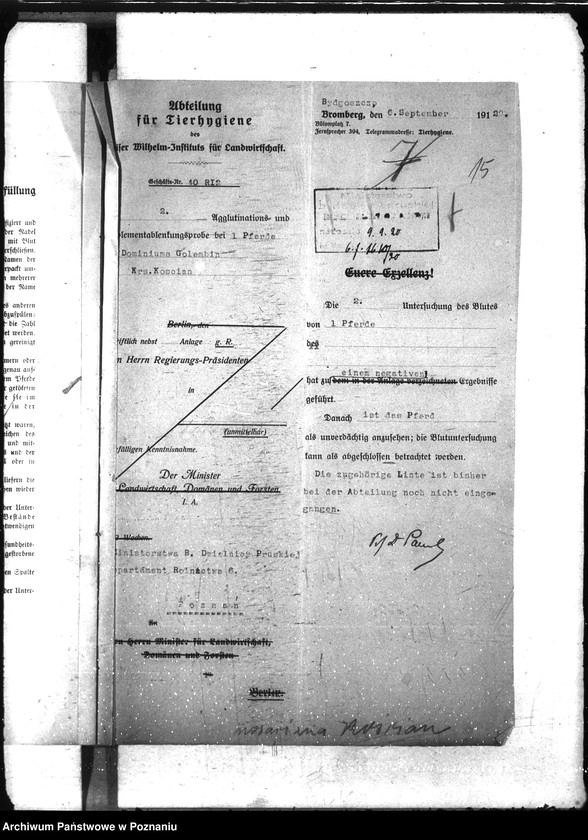 Obraz 19 z jednostki "Nosacizna - Kościan"