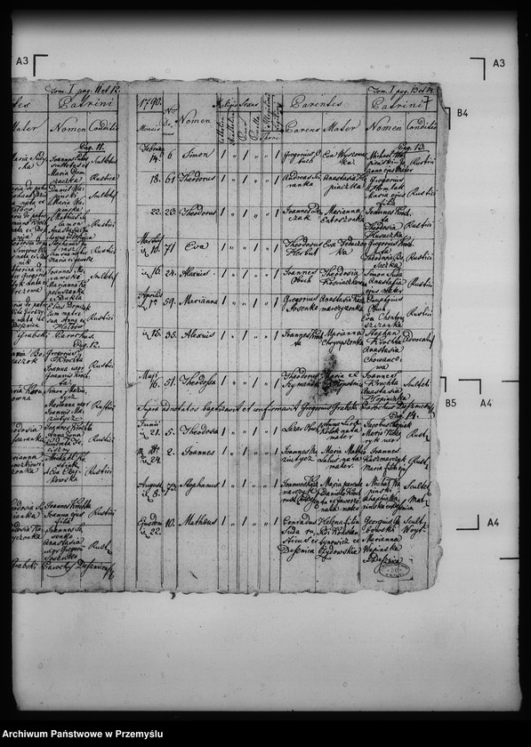 Obraz 11 z jednostki "[Kopie ksiąg metrykalnych parafii Desznica z filią Brzezawa (dekanat Dukla)]"