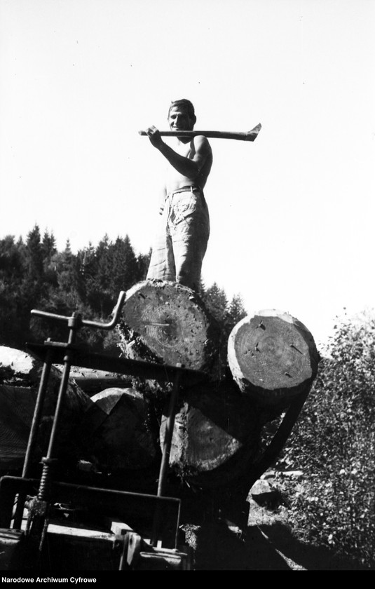 image.from.unit.number "Tartak w Skolem"