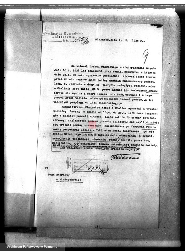 Obraz 13 z jednostki "Majętność leśna Chalin powiat międzychodzki"