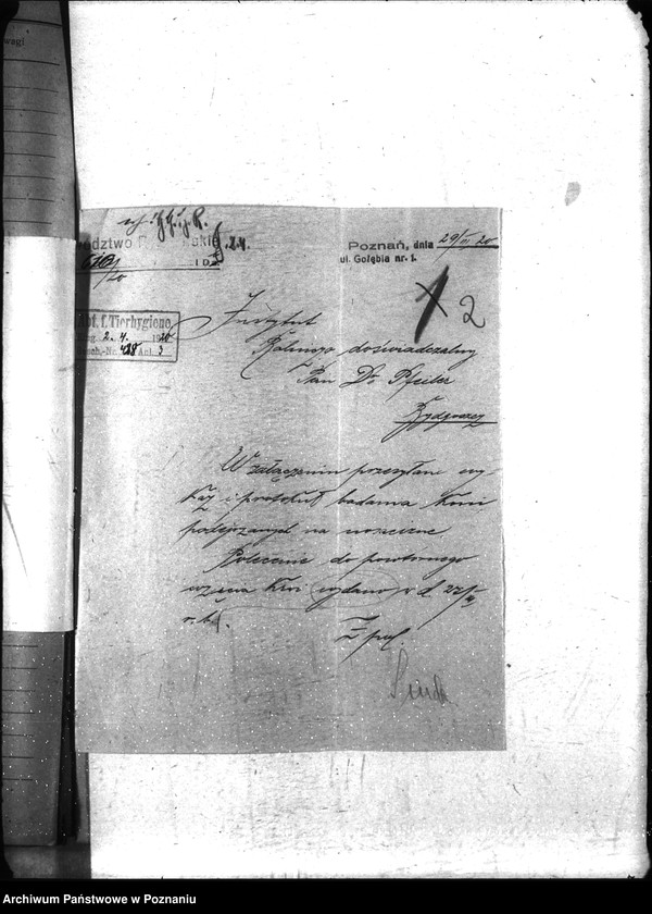 Obraz 6 z jednostki "Nosacizna - Gostyń"