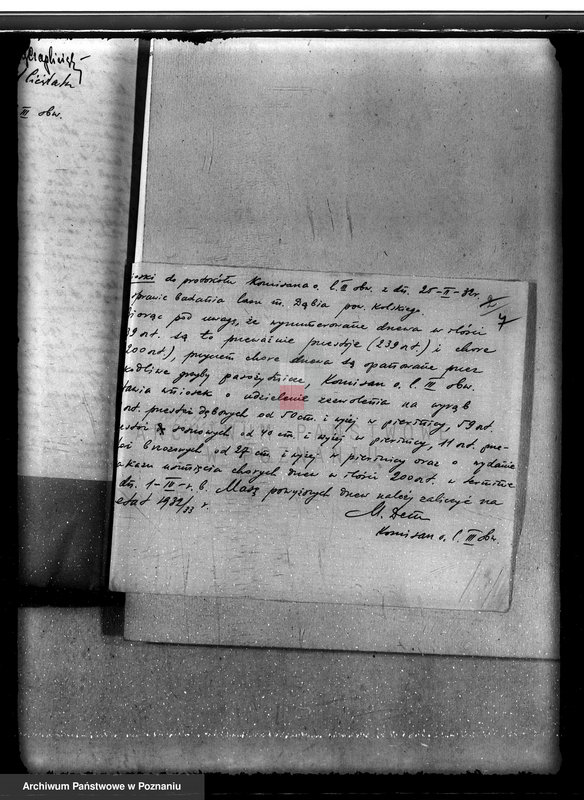 Obraz 11 z jednostki "Lasy miasta Dąbie powiatu kolskiego"