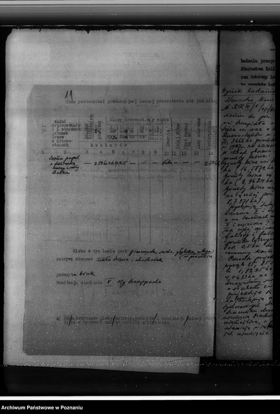 Obraz 16 z jednostki "Gmina Brzeźno powiat koniński /nadzór nad gospodarką leśną/"