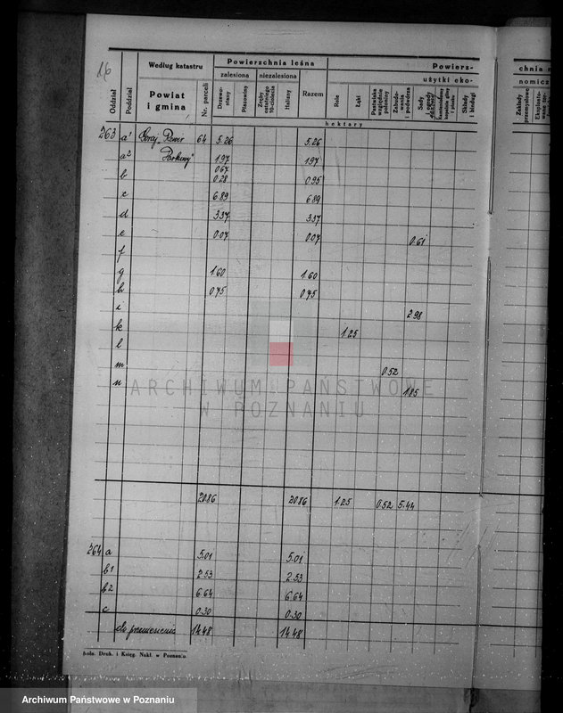 Obraz 20 z jednostki "/Nadzór nad gospodarką w lasach majątku Krucz-Goraj w powiecie czarnkowskim"