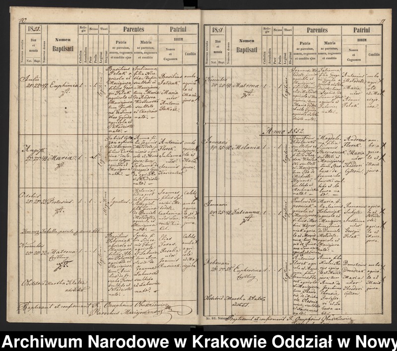 image.from.team "Akta stanu cywilnego Parafii Greckokatolickiej w Maciejowej"
