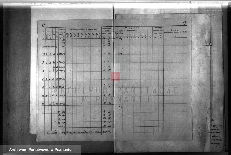 Obraz 19 z jednostki "Majątek Lutom w powiecie międzychodzkim 1930-1940 Plan urządzenia gospodarstwa leśnego"