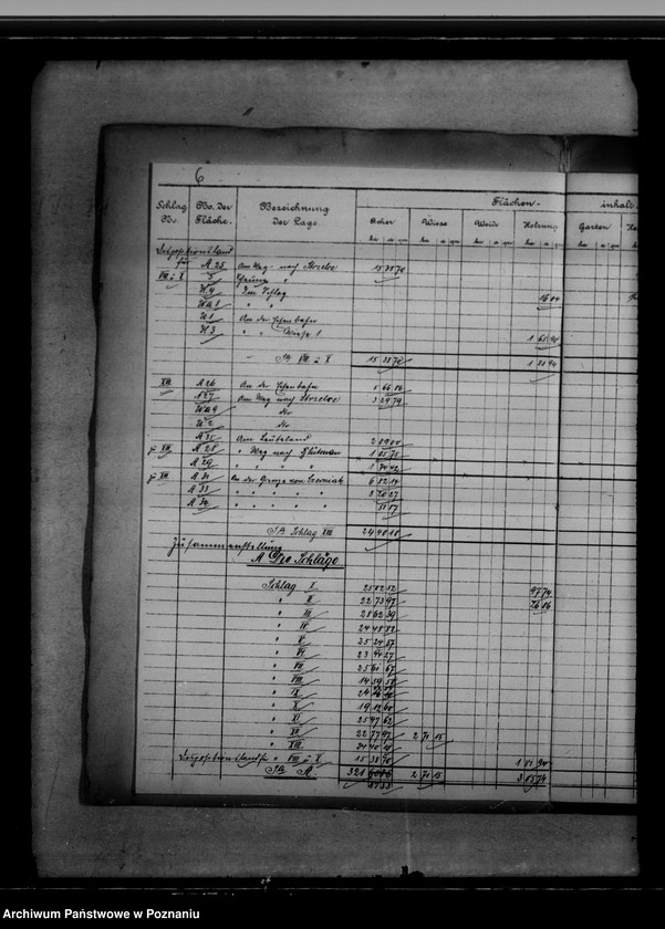 Obraz 10 z jednostki "Vermessungsregister von der Königlichen Domäne Kunowo"