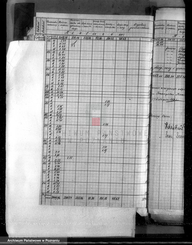 Obraz 19 z jednostki "Plan gospodarstwa leśnego dla lasów majątku Kazimierz Biskupi powiat słupecki"