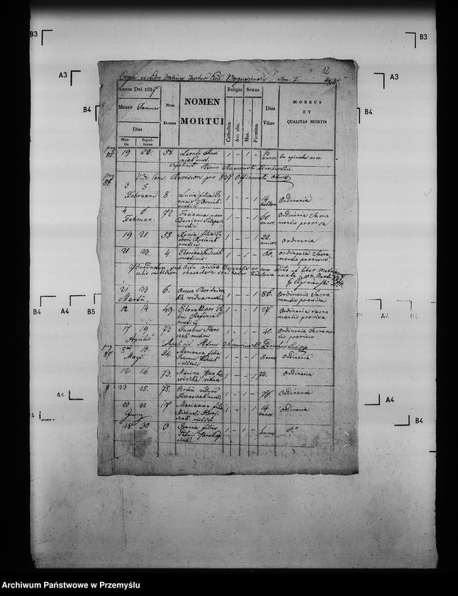 Obraz 15 z jednostki "[Kopie ksiąg metrykalnych parafii Królowa Ruska z filią Bogusza (dekanat Grybów)]"