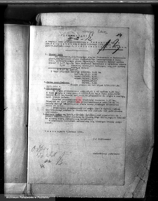 Obraz 18 z jednostki "Las parafialny kościoła w Radomicku powiat kościański"