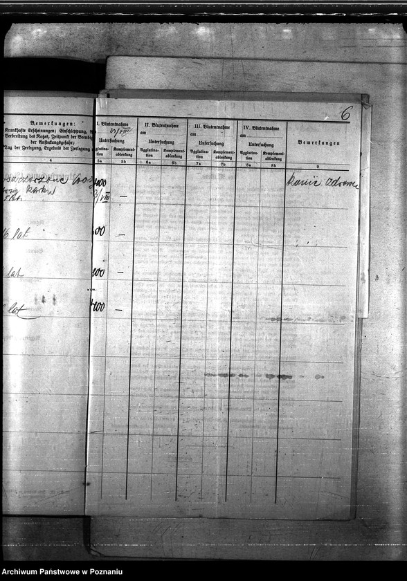 Obraz 10 z jednostki "Nosacizna - Sempolno"