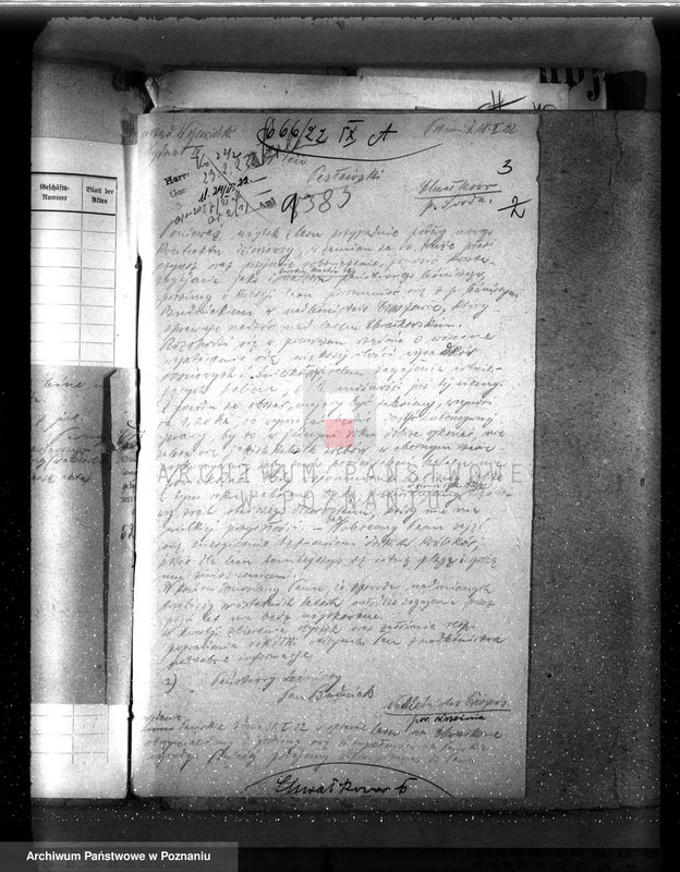 Obraz 8 z jednostki "Drzewostan na majątku państwowym Chwałkowo powiat średzki"