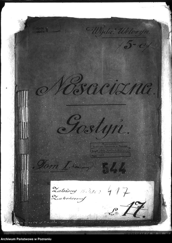 Obraz 3 z jednostki "Nosacizna - Gostyń"