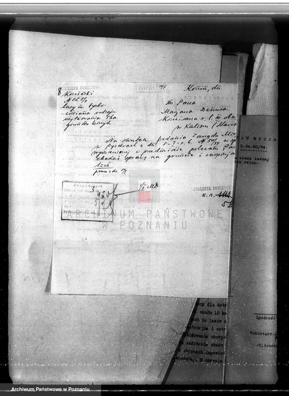 Obraz 12 z jednostki "Sprawa zmiany wydzielenia około 1300 ha gruntów leśnych w lasach miasta Pyzdry ewentualnie z przymusową likwidacją serwitutów wsi Holendry Pyzderskie"