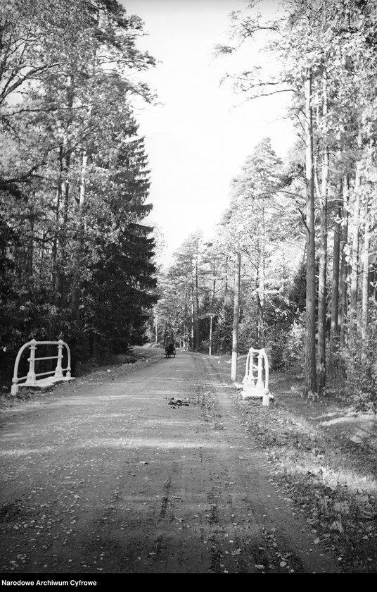 image.from.unit.number "Białowieża"