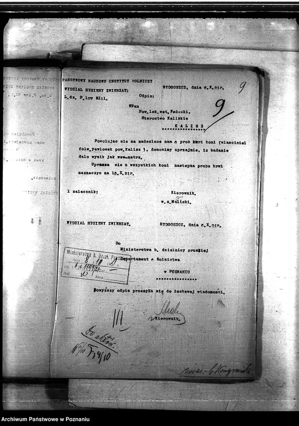 Obraz 13 z jednostki "Nosacizna - b. Kongresówka"