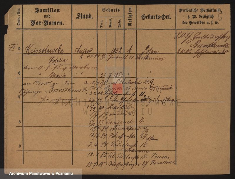 Obraz 5 z jednostki "Kinastowski - Kinowski"