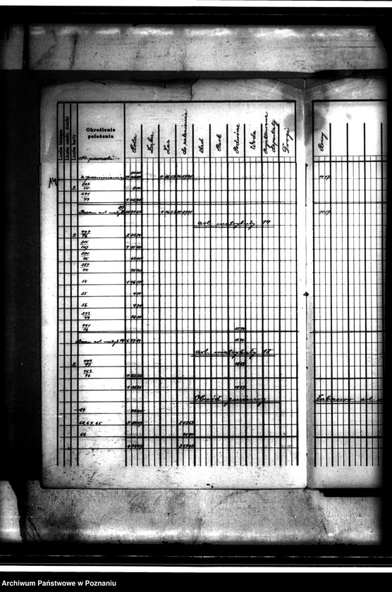 image.from.unit.number "/Rejestry pomiarowe i rejestry powierzchni majątku Bolęcin-Karna powiatu wolsztyńskiego"