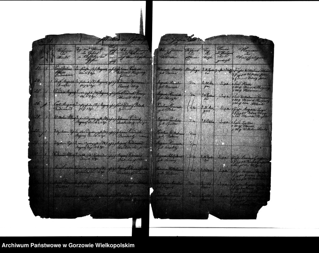 image.from.unit.number "Duplikate der Kirchenbücher von der Parochie Altensorge: Altensorge (Glinik), Blockwinkel (Bolemin), Plonitz (Płonica), Hagen (Dziersławice), Bürgerbruch (Białobłocie), Kattenhorst (Orzelec), Liebenthal (Kołomęt), Schönewald (Krasowiec)"