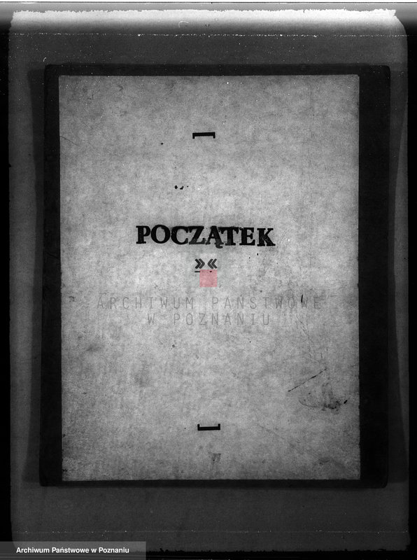 Obraz 3 z jednostki "Majętność leśna w Kwilczu w powiecie międzychodzkim"