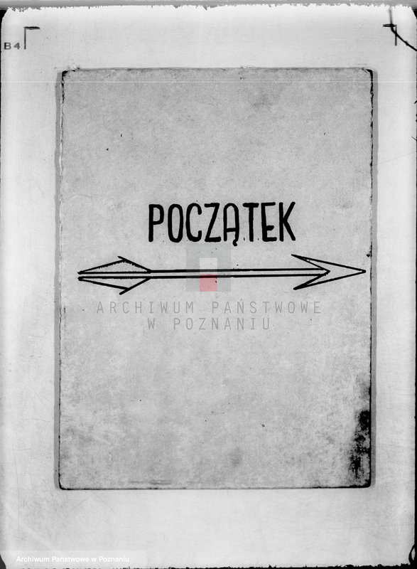 Obraz 3 z jednostki "Polskie Gminne Koło Łowieckie w Jeziorsku powiat turecki"