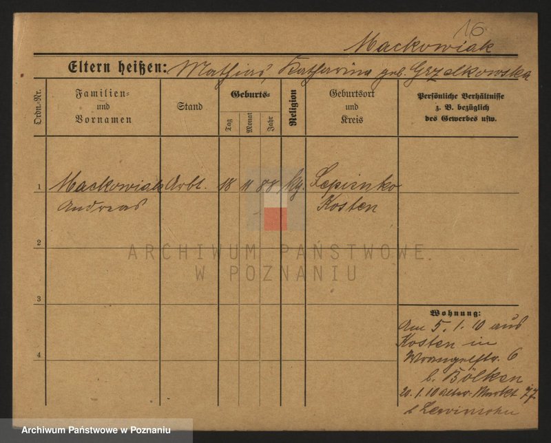 Obraz 18 z jednostki "Maćkowiak (samotni mężczyźni i kobiety)"