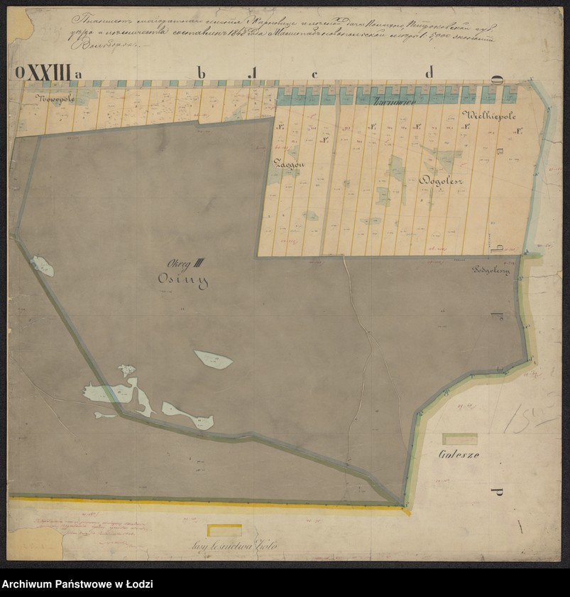 Obraz 10 z jednostki "Plan urządzenia majoratu Wolbórz"