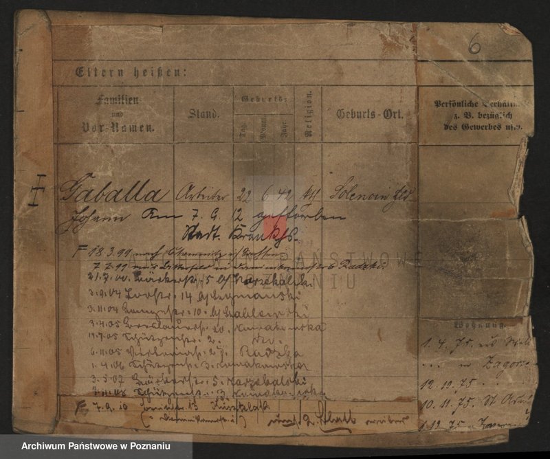 Obraz 8 z jednostki "Gaab - Gaciorkowski"