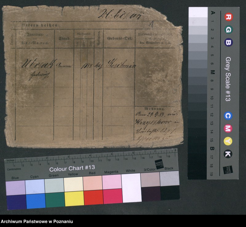 Obraz 6 z jednostki "Ubczak - Ulatowski"