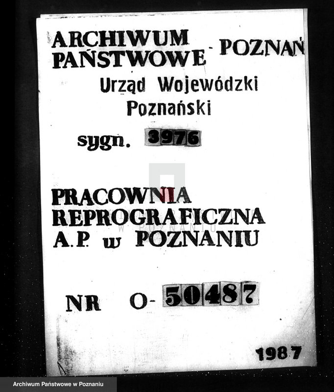 Obraz 1 z jednostki "Majętność leśna Glinno powiat wągrowiecki"