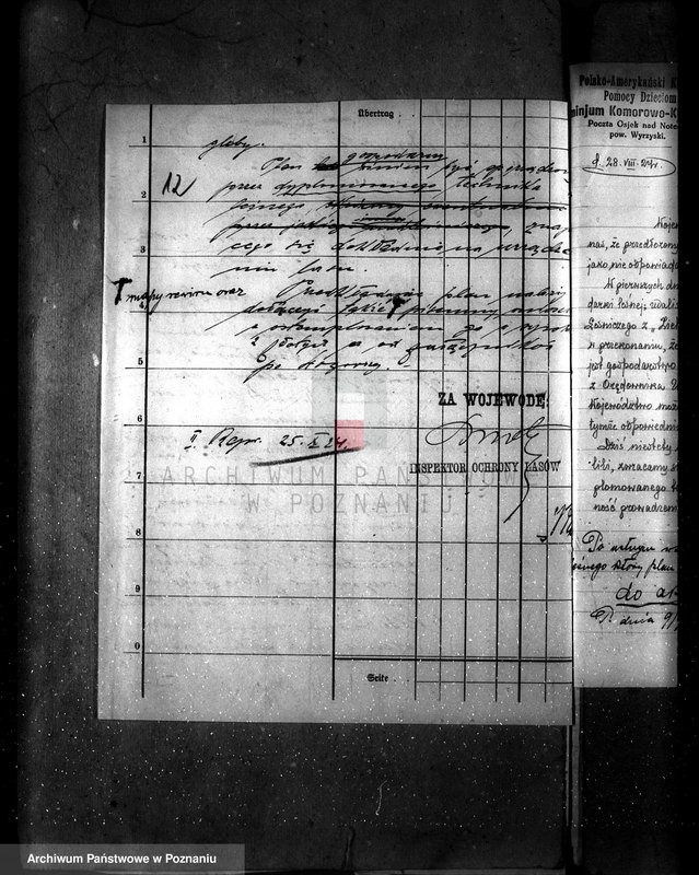 Obraz 16 z jednostki "Majętność leśna Komorowo powiat wyrzyski"