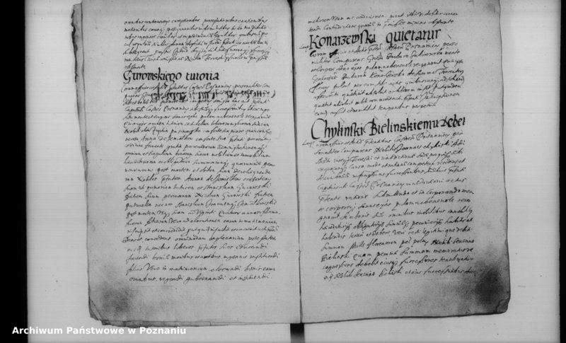 Obraz 8 z jednostki "Inscriptiones [inducta]"