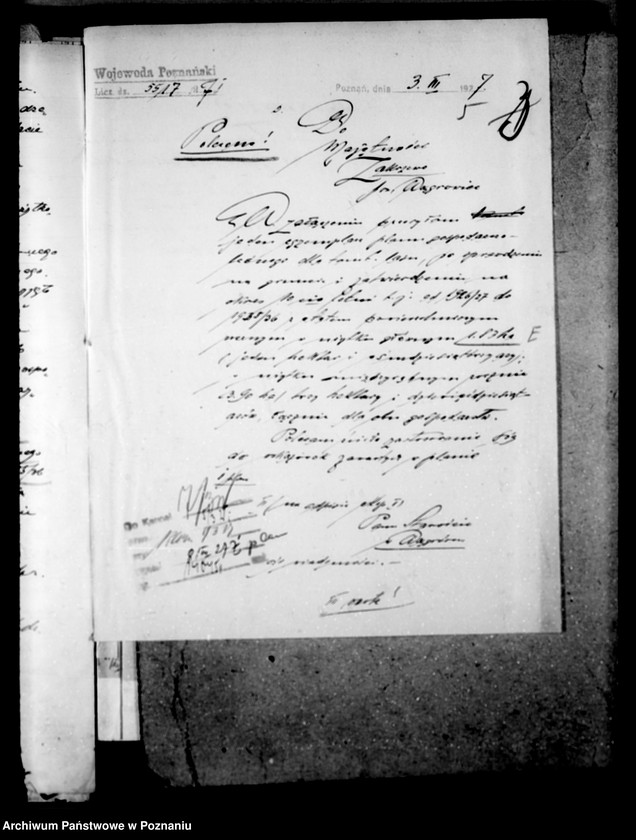 Obraz 9 z jednostki "Majętność leśna Zakrzewo powiat wągrowiecki"