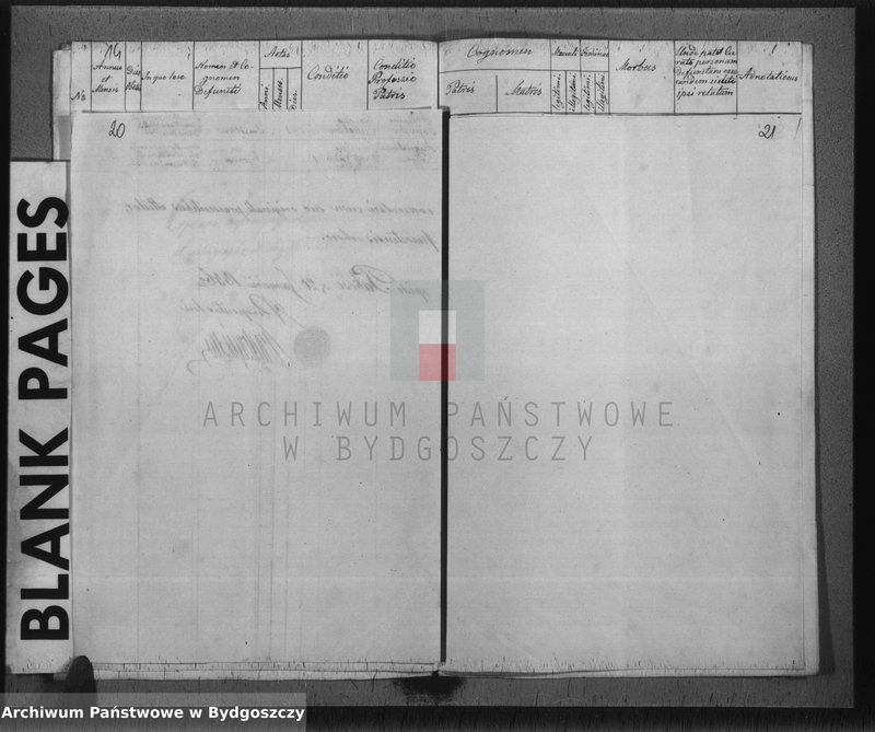 image.from.unit.number "Liber duplicatus : Baptisatorum, Copulatorum et Mortuorum de anno 1855 Parochiae Catholicae Pacostensis sitae in Districtu Szubiniensi"