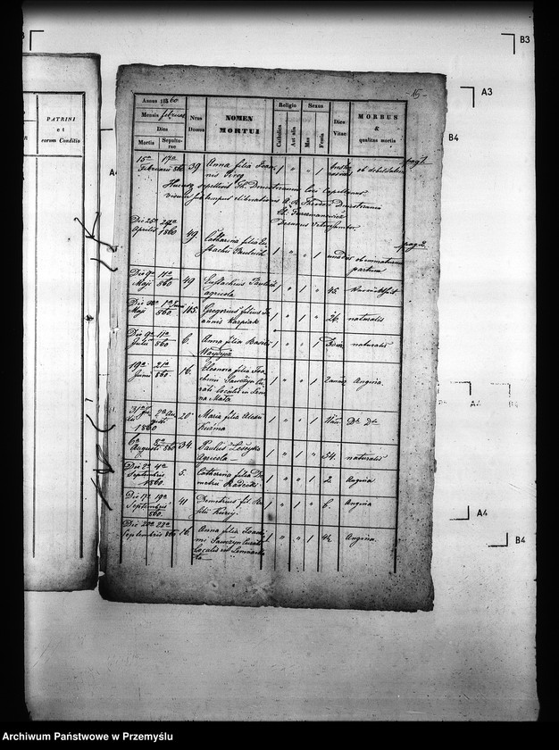 image.from.unit.number "[Kopie ksiąg metrykalnych parafii Lenina Mała (dekanat Stary Sambor)]"