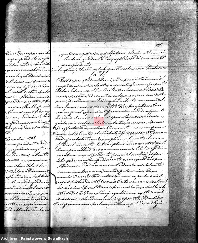 image.from.unit.number "Annexa do Aktów Zaślubionych Parafii Rzymsko-Katolickiej Sejny za rok 1869"