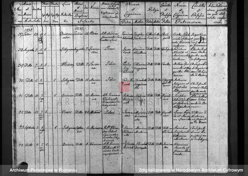 image.from.unit.number "Duplicatum baptisatorum, copulatorum, mortuorum"