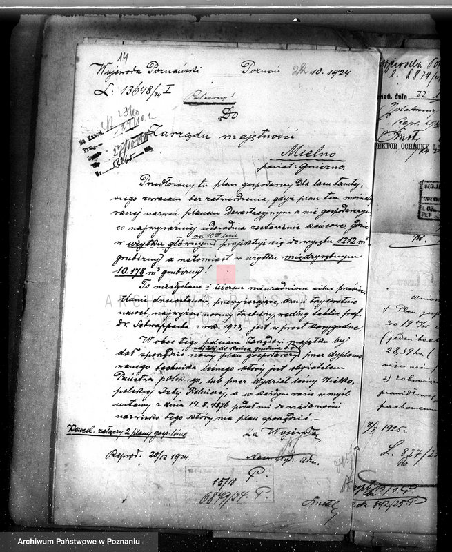 Obraz 18 z jednostki "Majętność leśna w Mielnie w powiecie gnieźnieńskim"