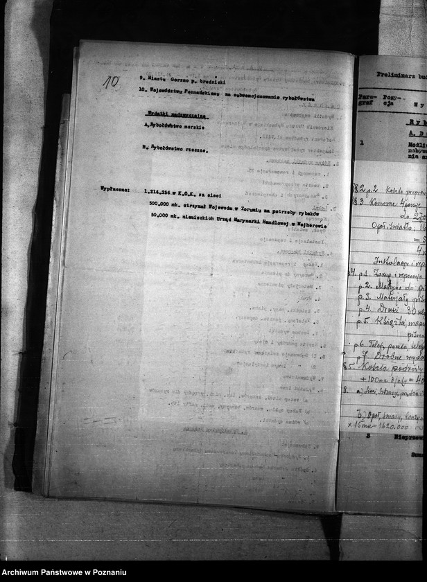 Obraz 15 z jednostki "Budżet - rybołówstwo rok 1921"