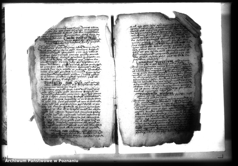 Obraz 5 z jednostki "Lib. civium, inscriptiones, relationes, decreta [inducta]"