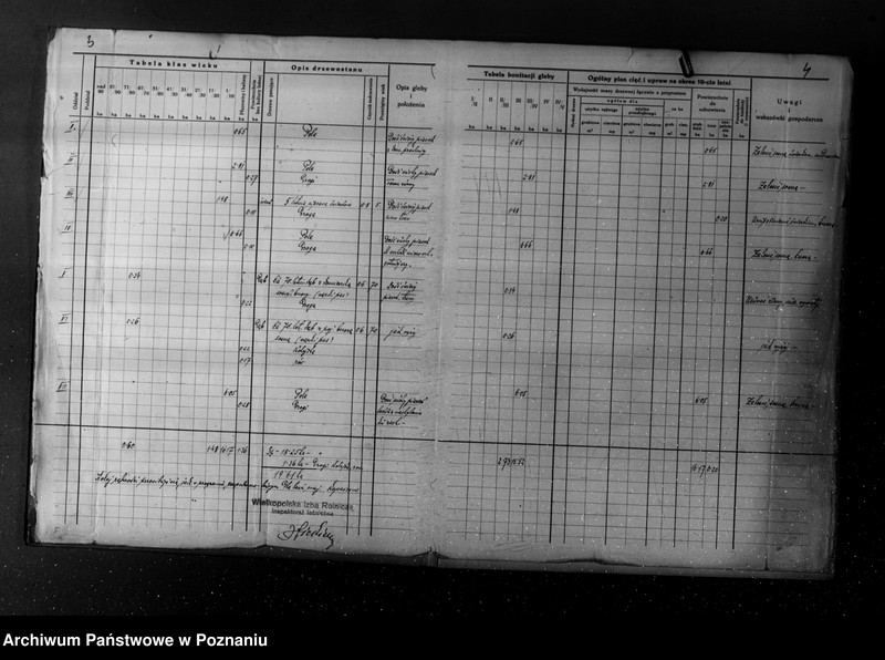 Obraz 6 z jednostki "Plan urządzania gospodarstwa leśnego dla lasu majętności Kopaczewo- Rogaczewo powiat kościański"