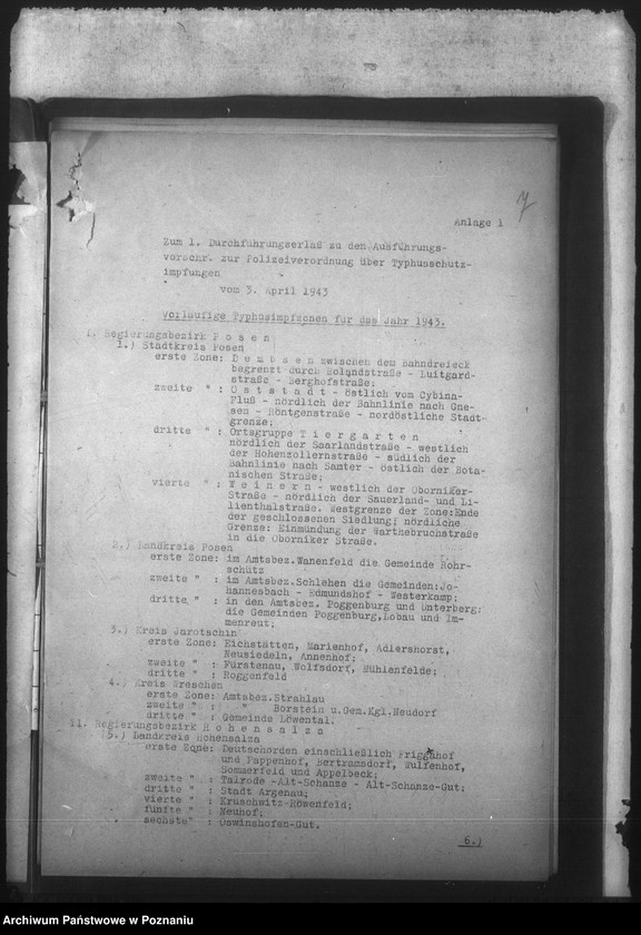 Obraz 11 z jednostki "Typhus - Impfberichte"